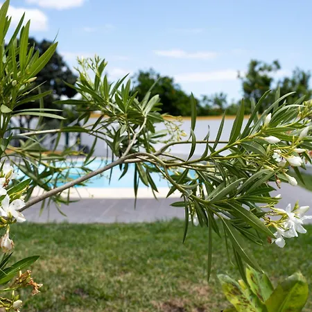 Casa La Rosa With Private Pool Сasa de vacaciones