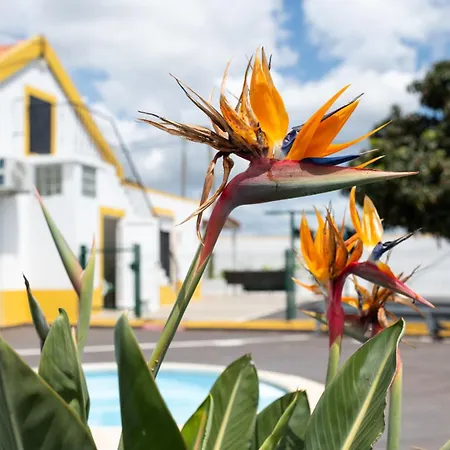 Casa La Rosa With Private Pool Сasa de vacaciones *