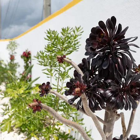 Сasa de vacaciones Casa La Rosa With Private Pool Loja de Vendas