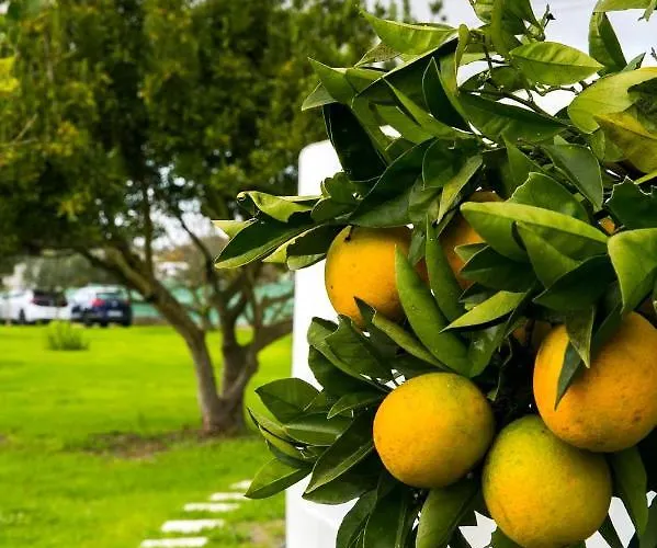 Casa La Rosa With Private Pool *