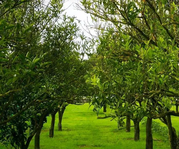 Casa La Rosa With Private Pool