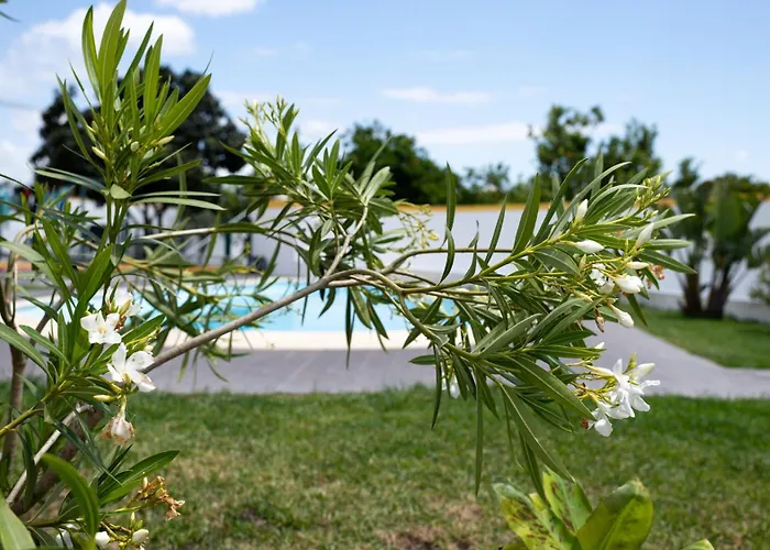 Casa La Rosa With Private Pool Сasa de vacaciones
