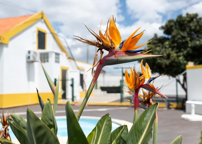 Casa La Rosa With Private Pool Сasa de vacaciones *