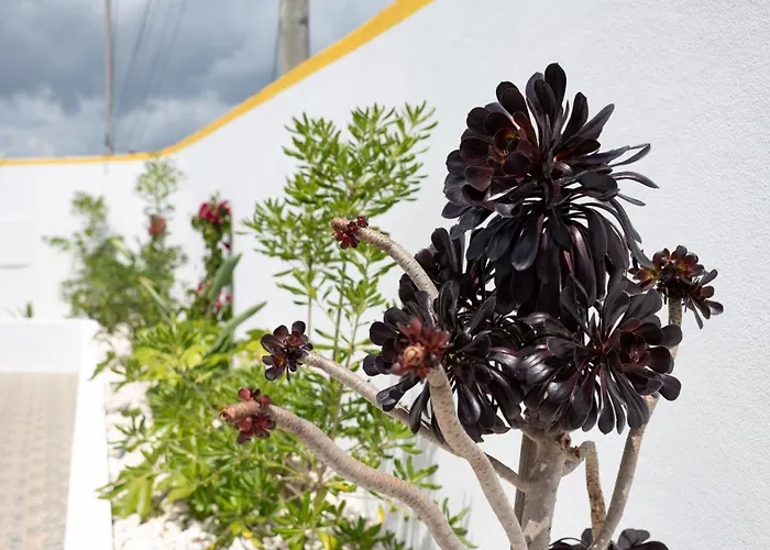 Сasa de vacaciones Casa La Rosa With Private Pool Loja de Vendas